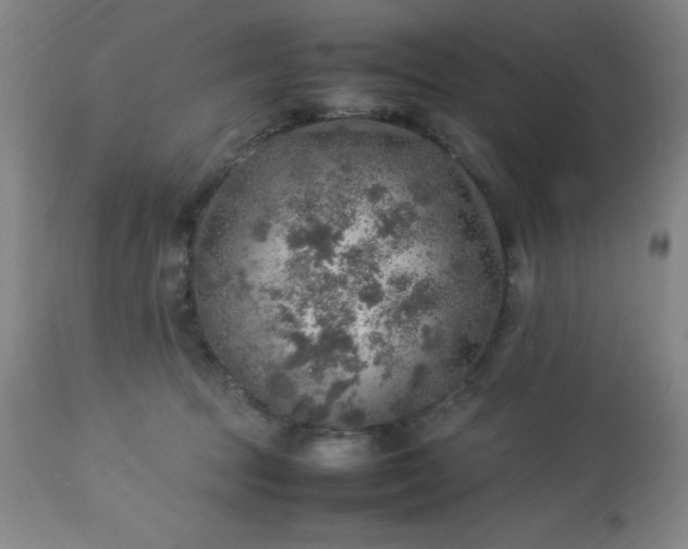 X0000113640369200910021922