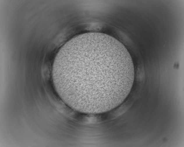 X0000113640370200910021922