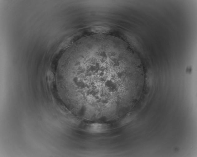 X0000113640371200910021922