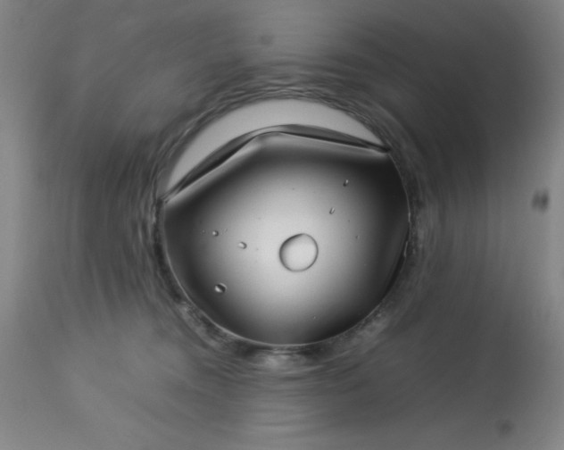 X0000113640372200910021922