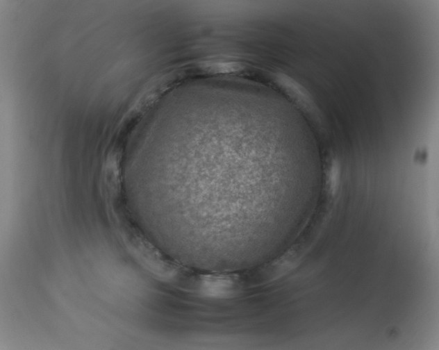 X0000113640373200910021922