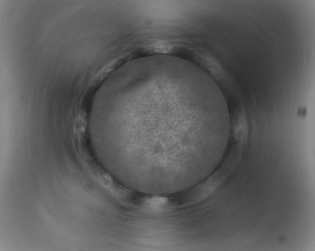 X0000113640374200910021922