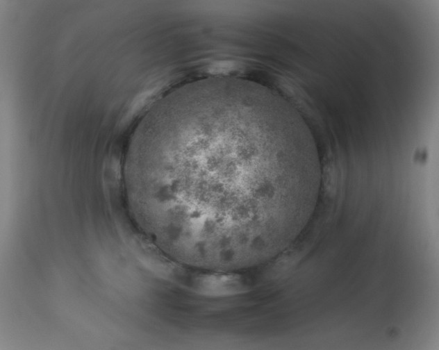 X0000113640375200910021922