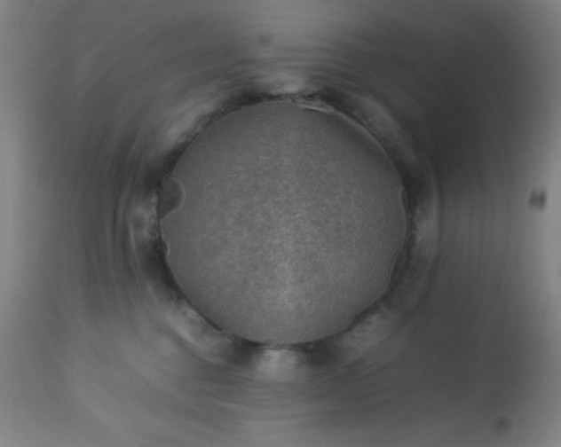 X0000113640376200910021922