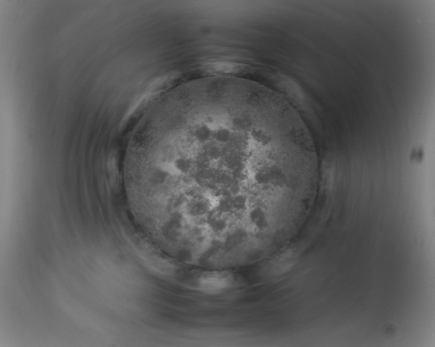 X0000113640377200910021922