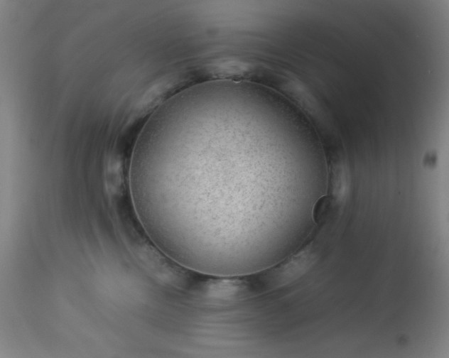 X0000113640378200910021922