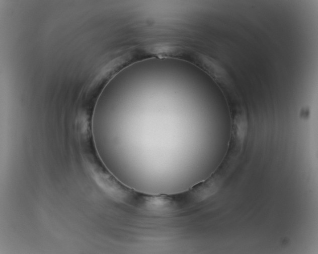 X0000113640380200910021922