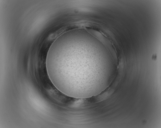 X0000113640382200910021922