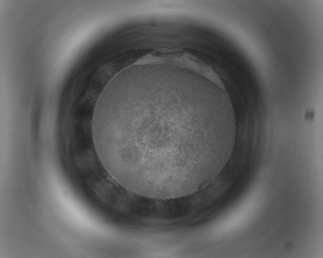 X0000113640383200910021922