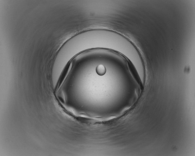 X0000113640385200910021922