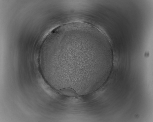 X0000113640386200910021922