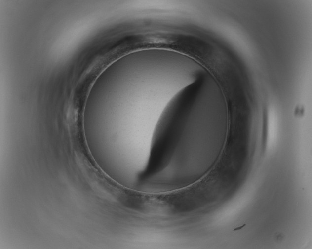 X0000113640387200910021921