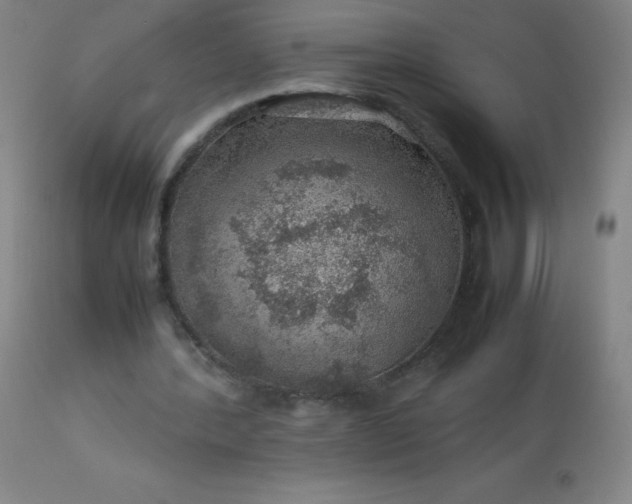 X0000113640388200910021921