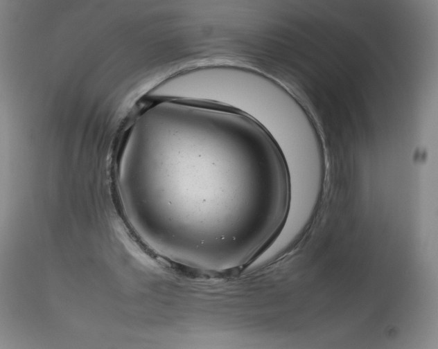 X0000113640389200910021921