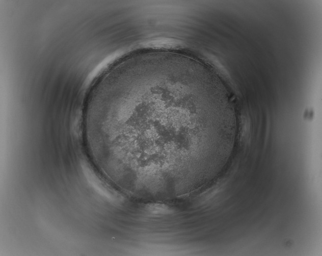 X0000113640392200910021921