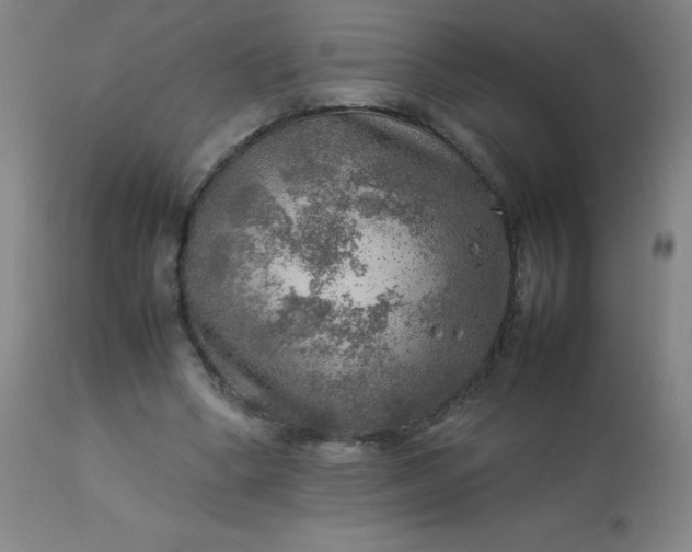 X0000113640394200910021921