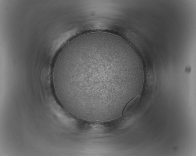 X0000113640395200910021921