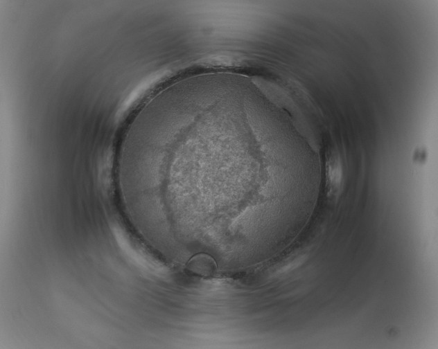 X0000113640396200910021921