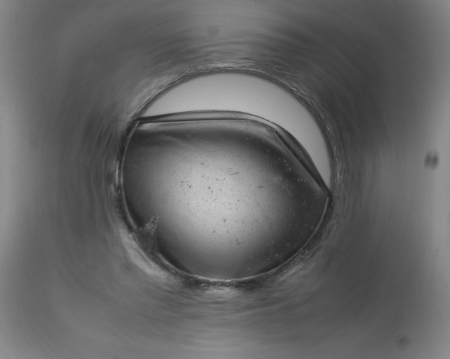 X0000113640397200910021921