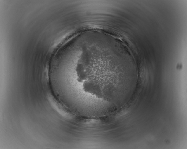 X0000113640398200910021921