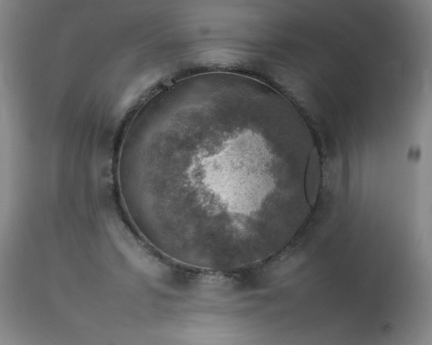 X0000113640399200910021921