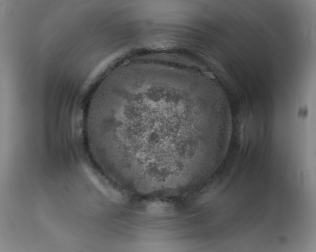 X0000113640400200910021921