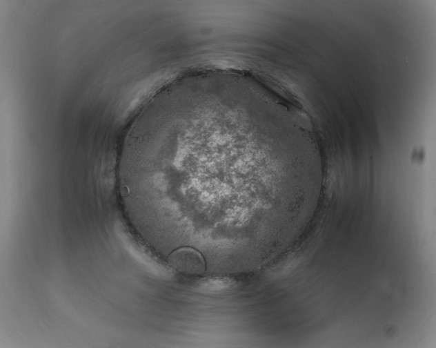 X0000113640402200910021921