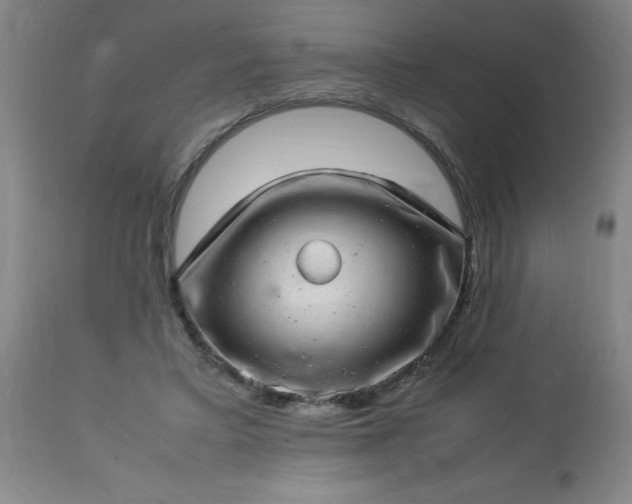 X0000113640403200910021921