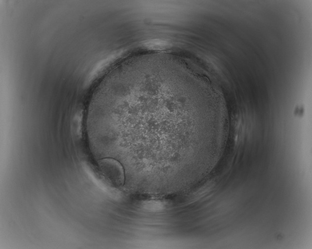 X0000113640404200910021921