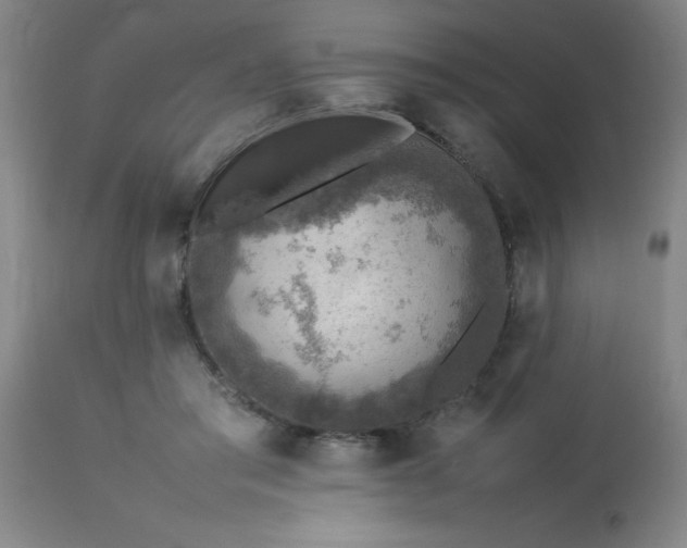 X0000113640405200910021921