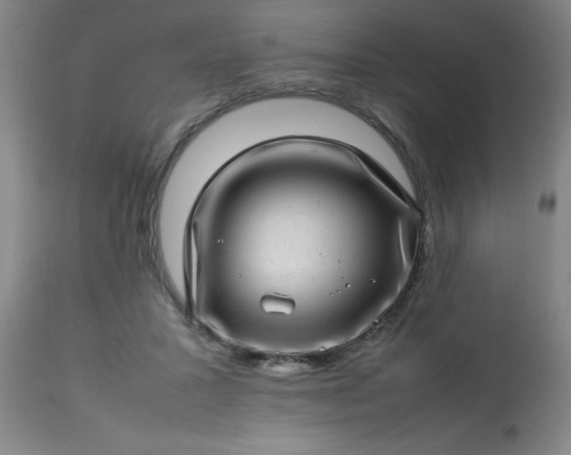 X0000113640407200910021921