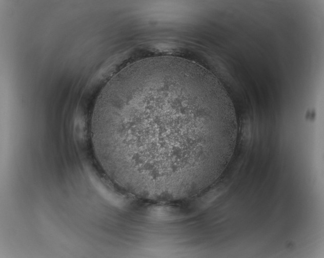 X0000113640408200910021921