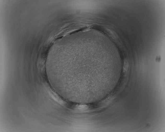 X0000113640409200910021921