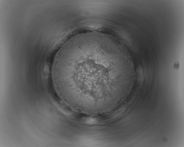 X0000113640412200910021921