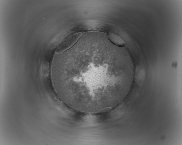 X0000113640413200910021921