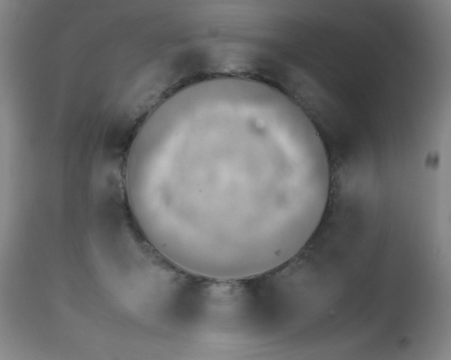 X0000113640415200910021921