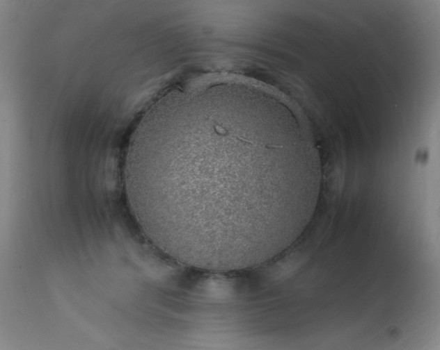 X0000113640416200910021921