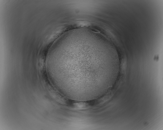 X0000113640417200910021921