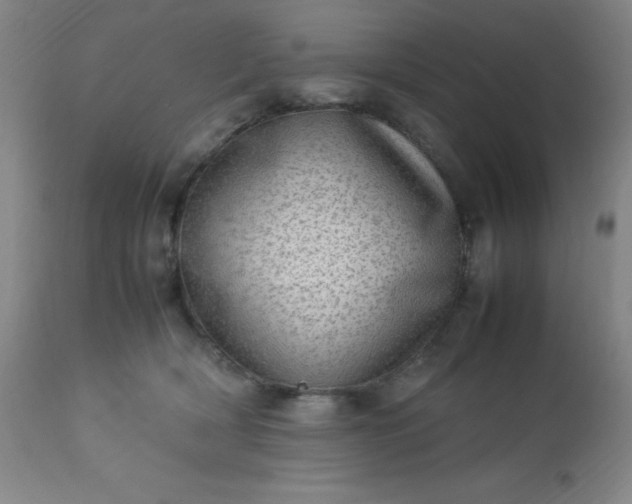 X0000113640418200910021921