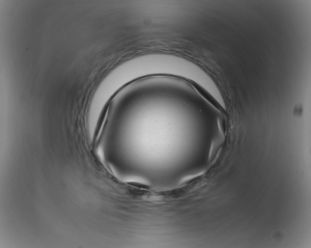 X0000113640419200910021921