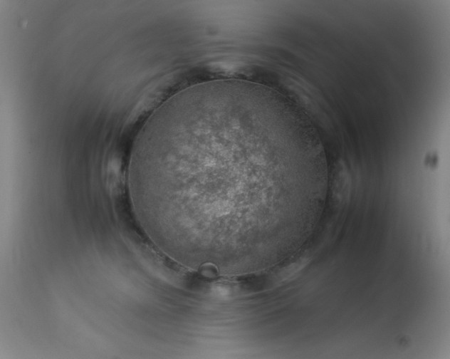 X0000113640420200910021921