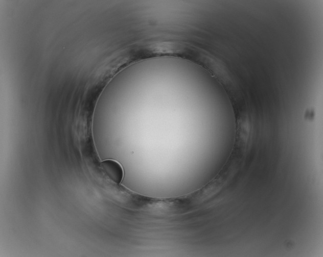 X0000113640422200910021921