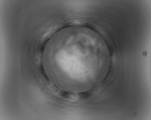 X0000113640423200910021921