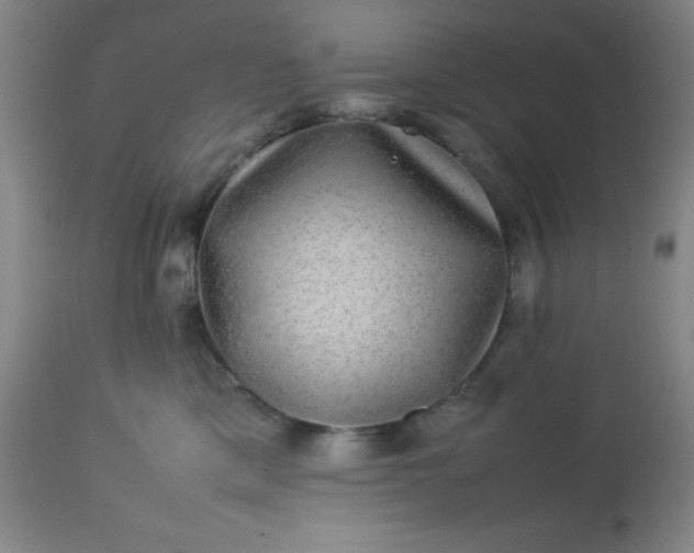 X0000113640425200910021921