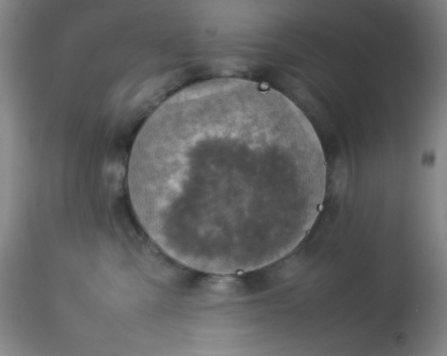 X0000113640427200910021921