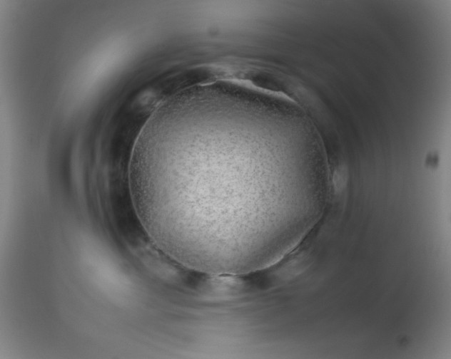 X0000113640429200910021921