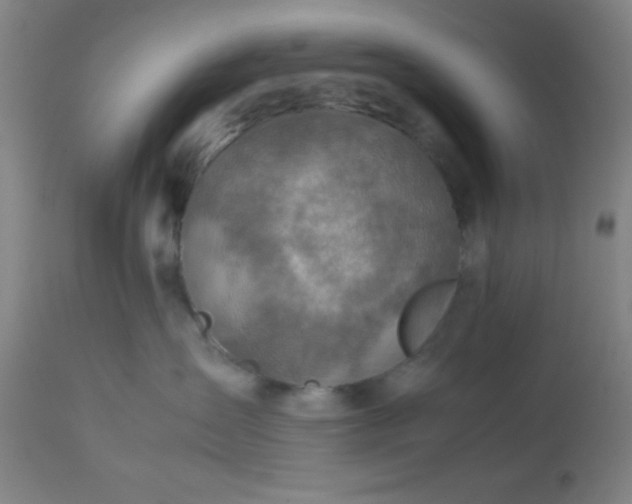 X0000113640431200910021921