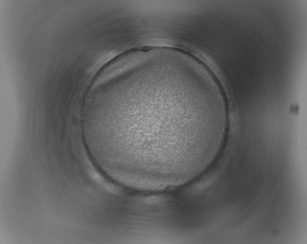 X0000113640433200910021920