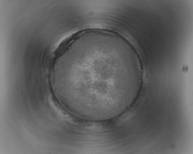 X0000113640434200910021920