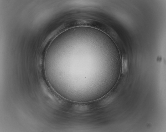 X0000113640435200910021920